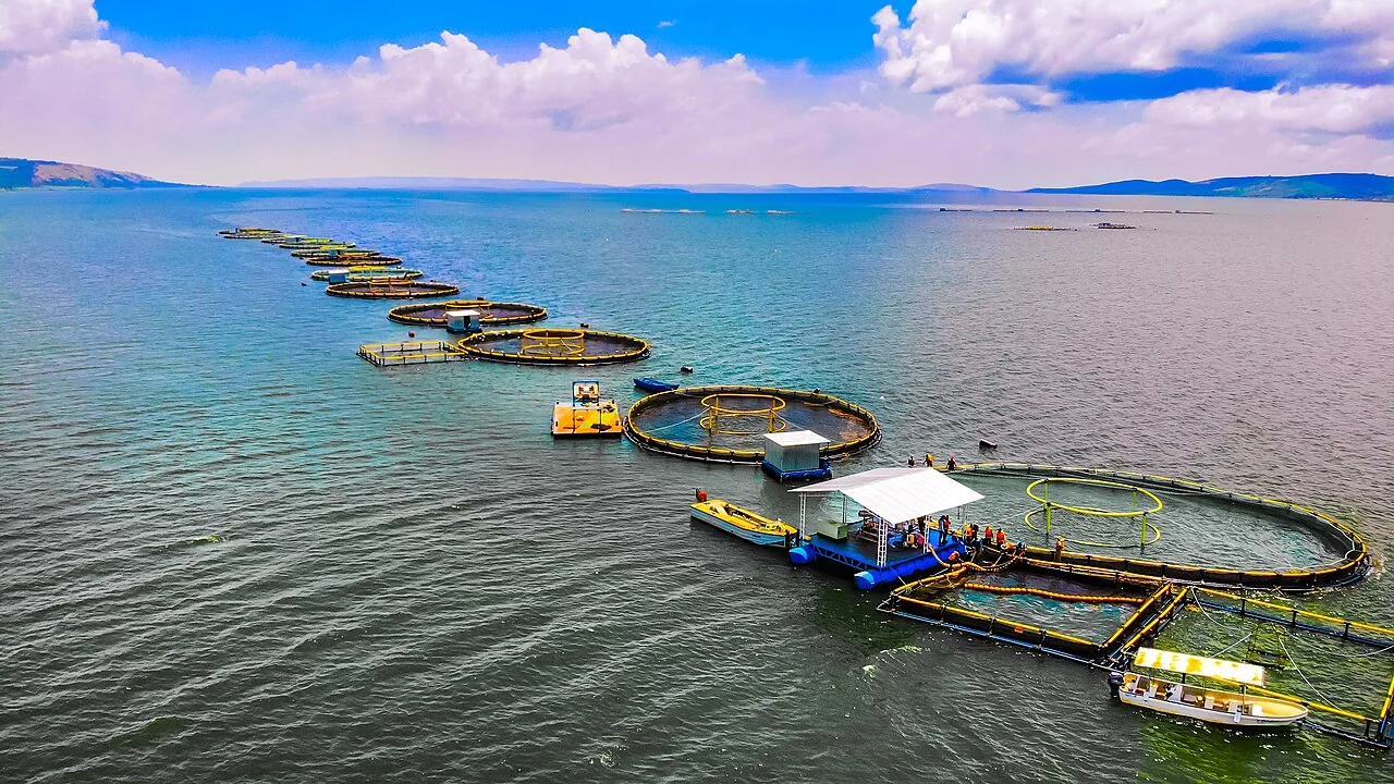 Aquaculture system engineering and data validation