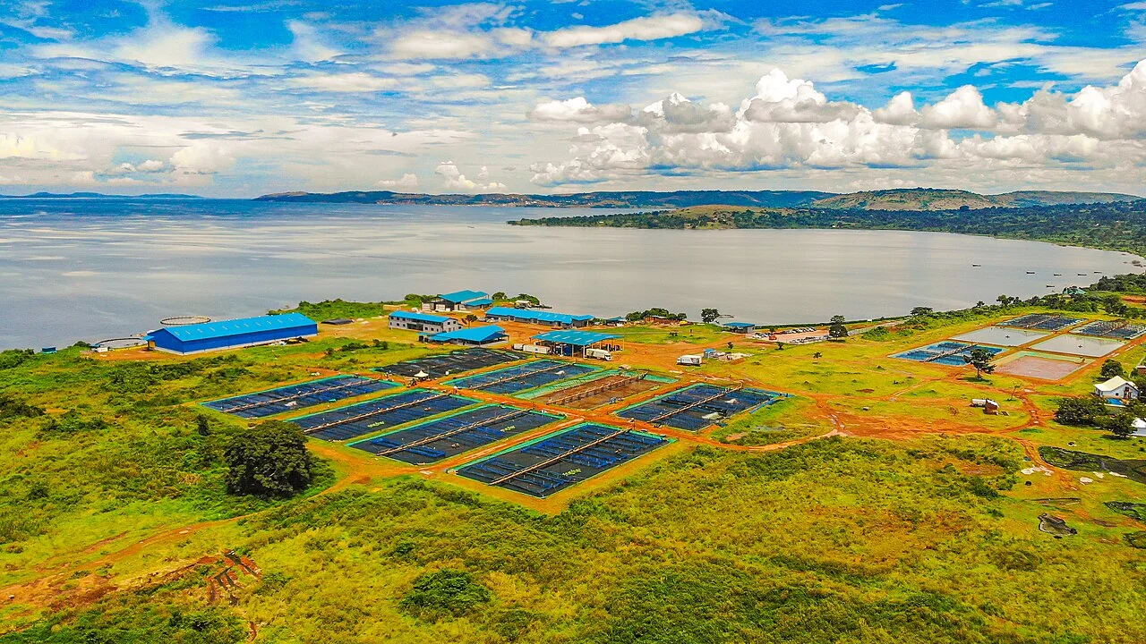 Typical application site for aquaculture